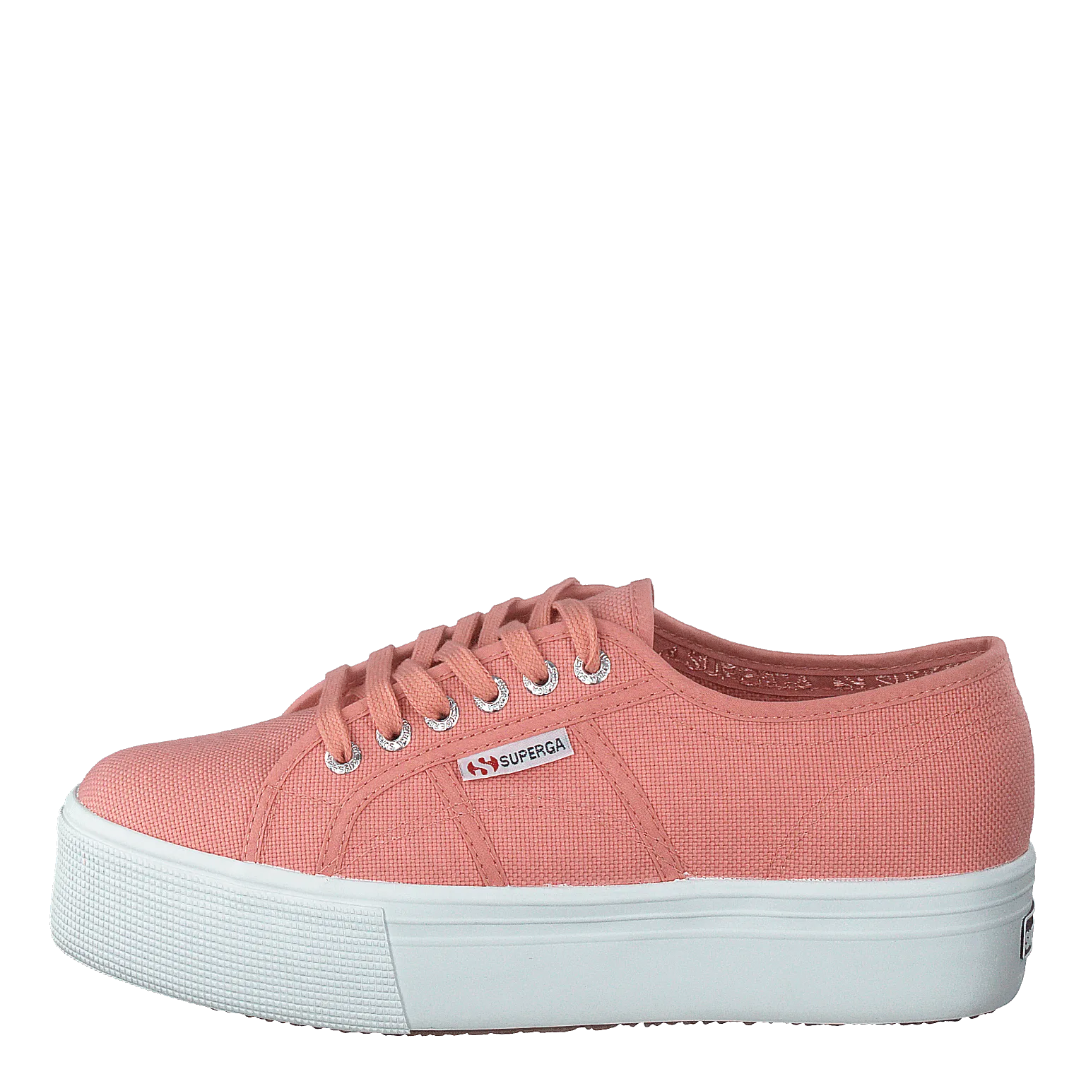 2790 Acotw Linea Rose Lobster