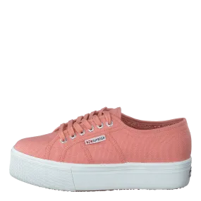 2790 Acotw Linea Rose Lobster
