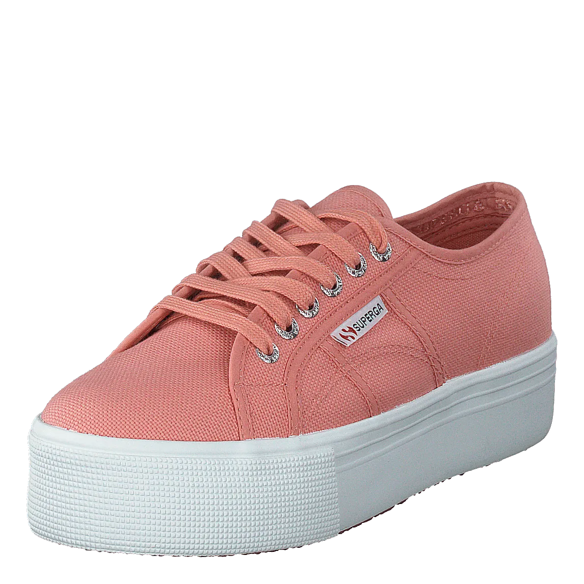 2790 Acotw Linea Rose Lobster