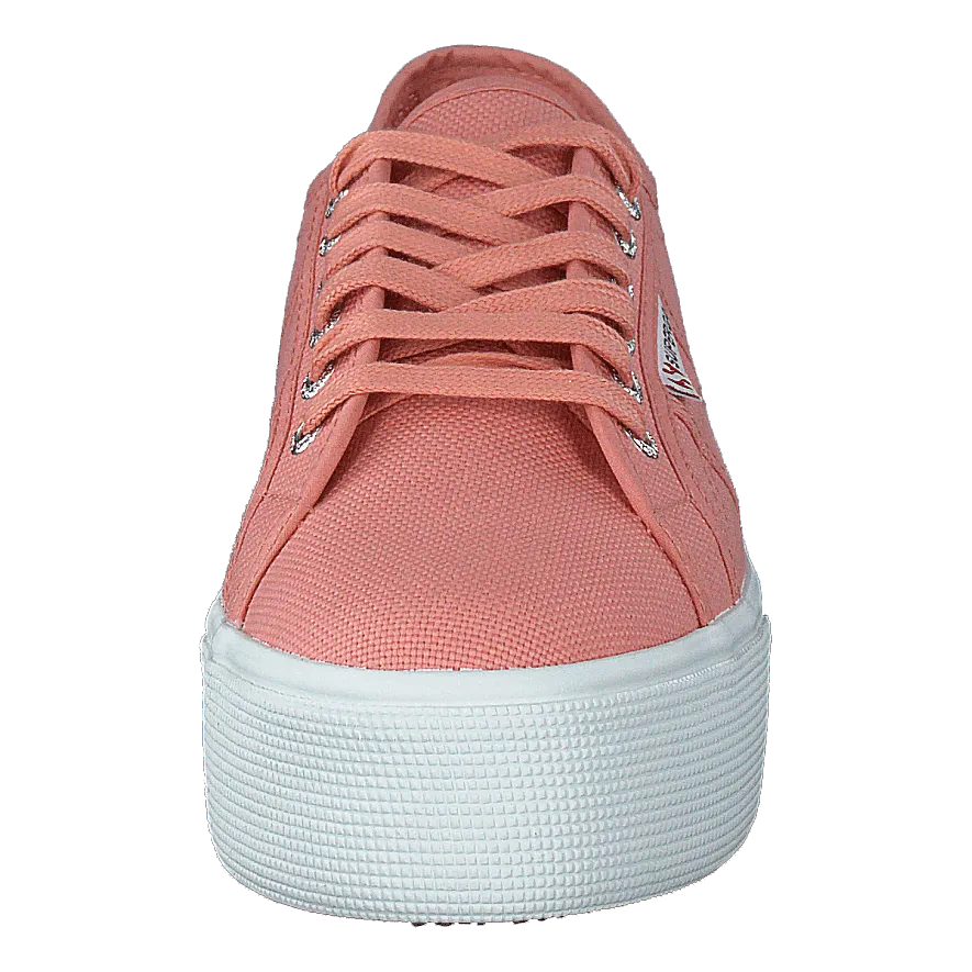 2790 Acotw Linea Rose Lobster