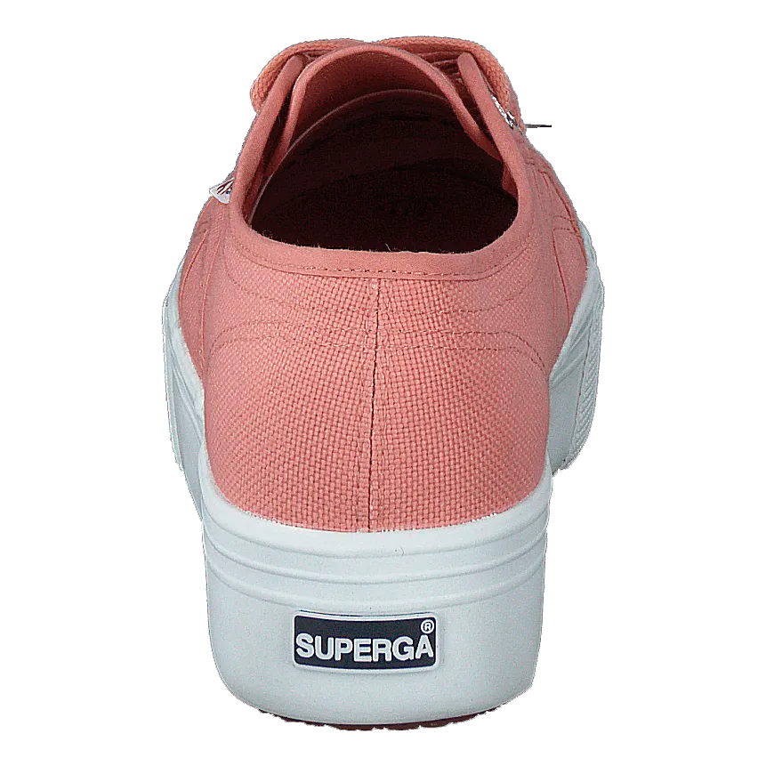 2790 Acotw Linea Rose Lobster