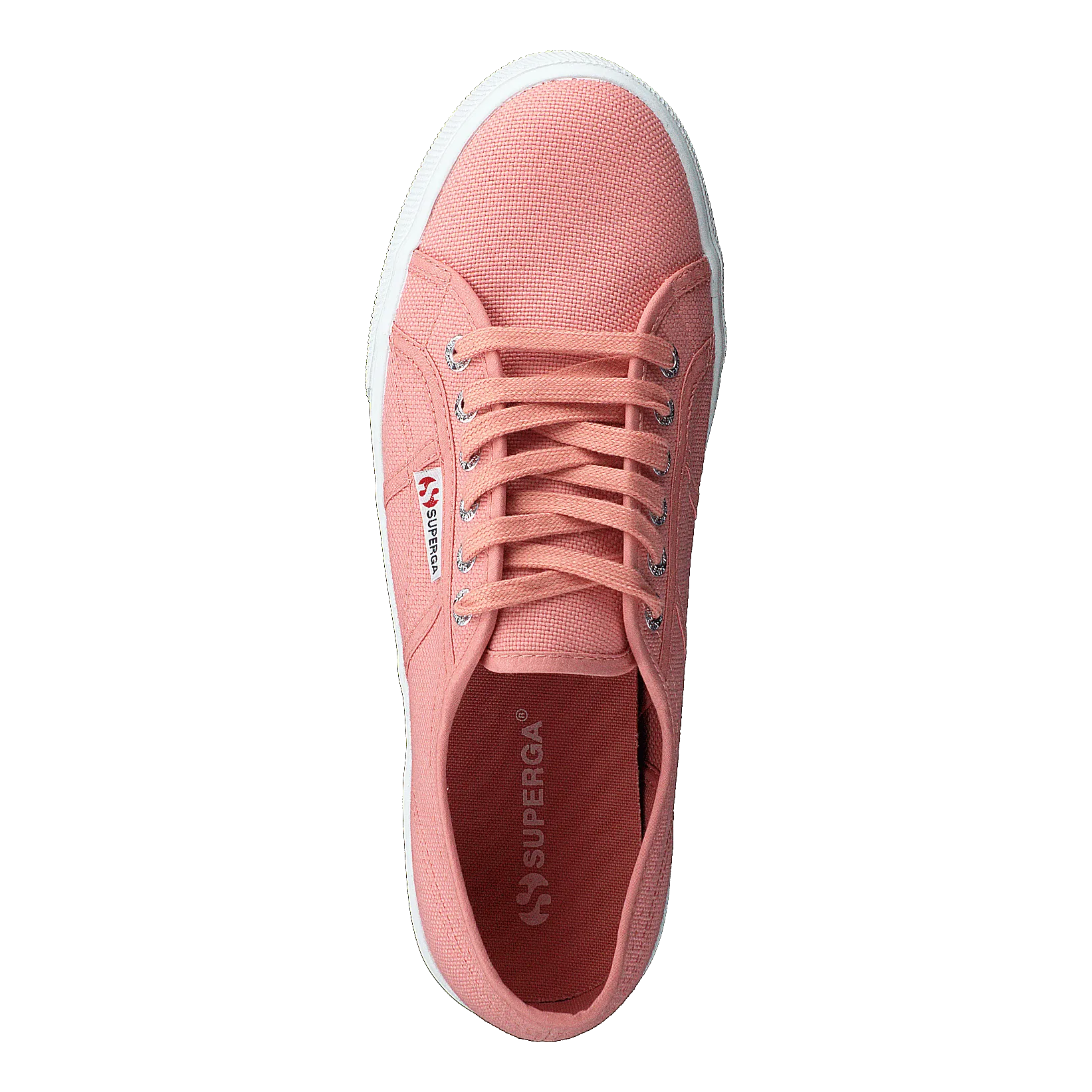 2790 Acotw Linea Rose Lobster