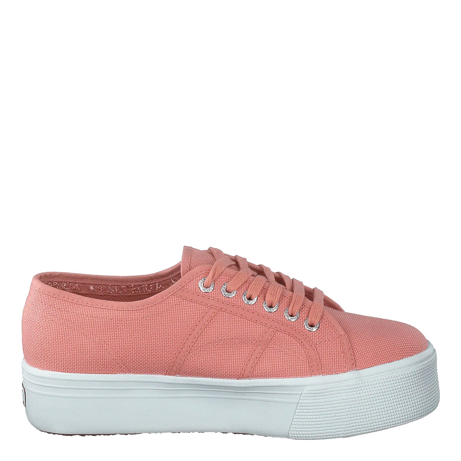 2790 Acotw Linea Rose Lobster