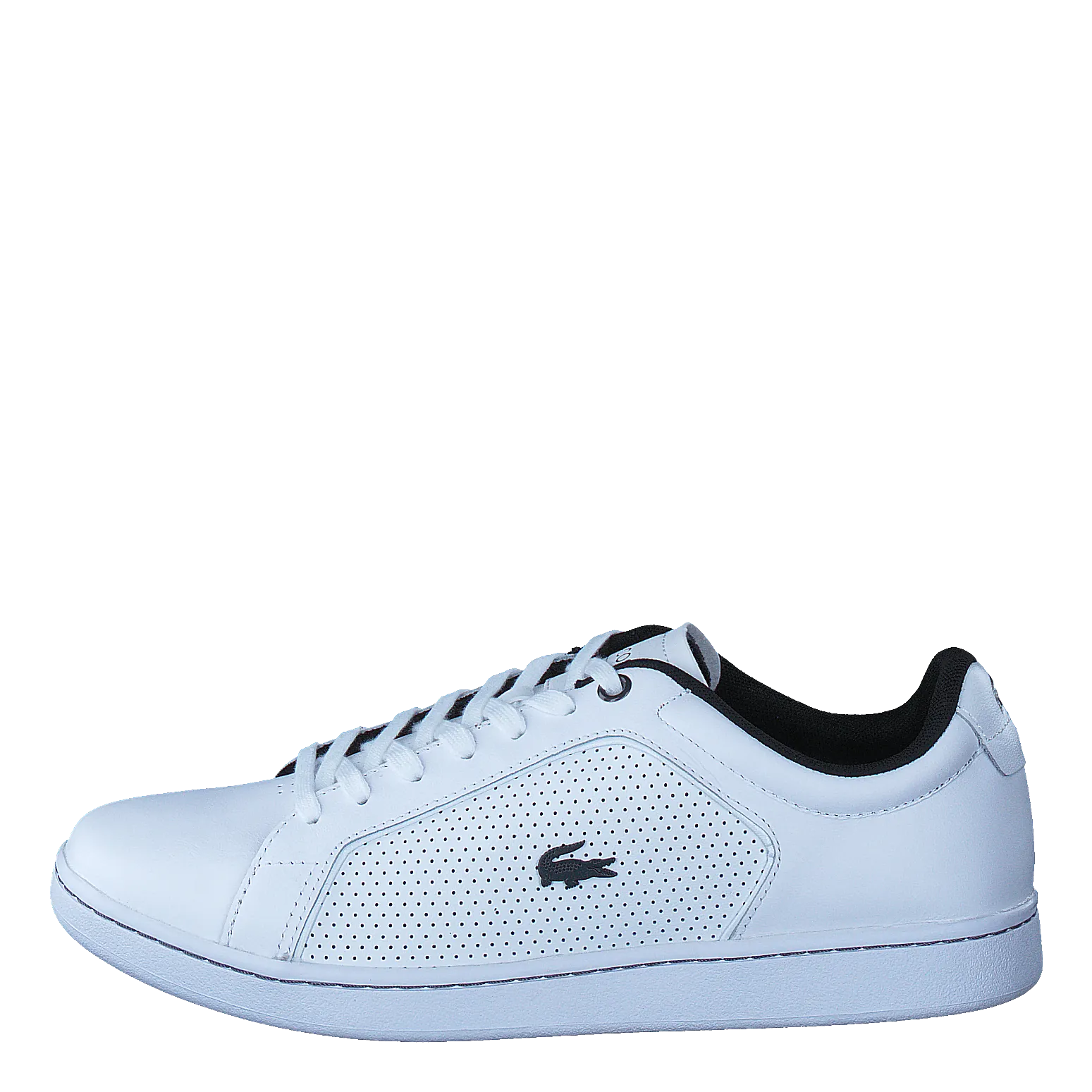 Carnaby Evo 317 10 Wht/ Wht