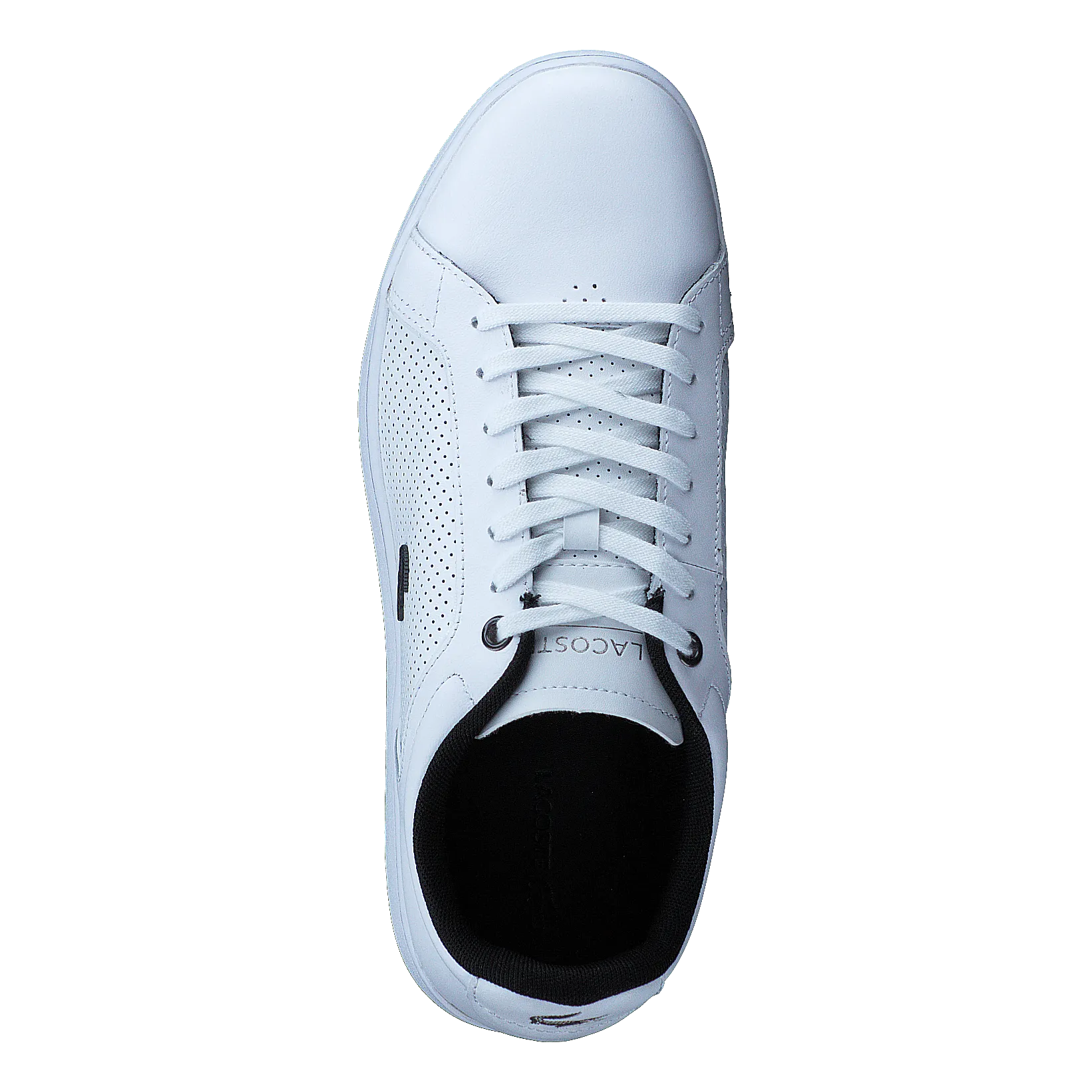 Carnaby Evo 317 10 Wht/ Wht
