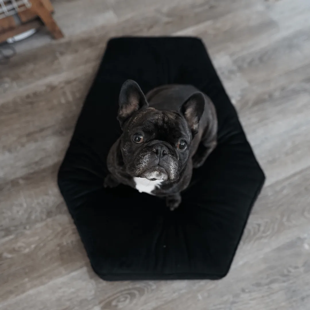Critter Coffin - Coffin Shaped Memory Foam Pet Bed for Dogs & Cats
