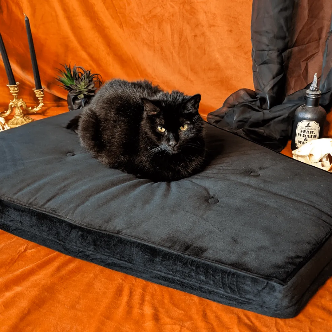 Critter Coffin - Coffin Shaped Memory Foam Pet Bed for Dogs & Cats