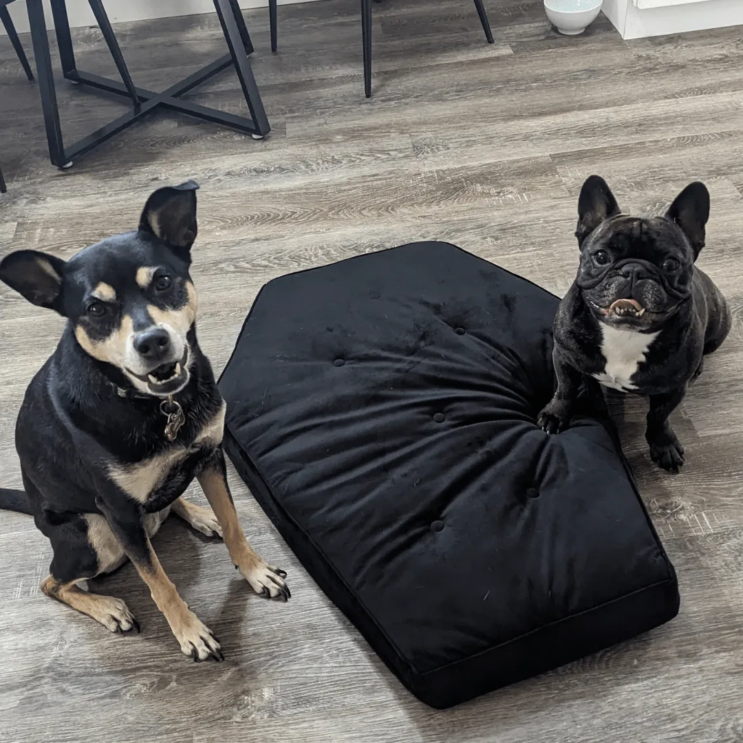 Critter Coffin - Coffin Shaped Memory Foam Pet Bed for Dogs & Cats