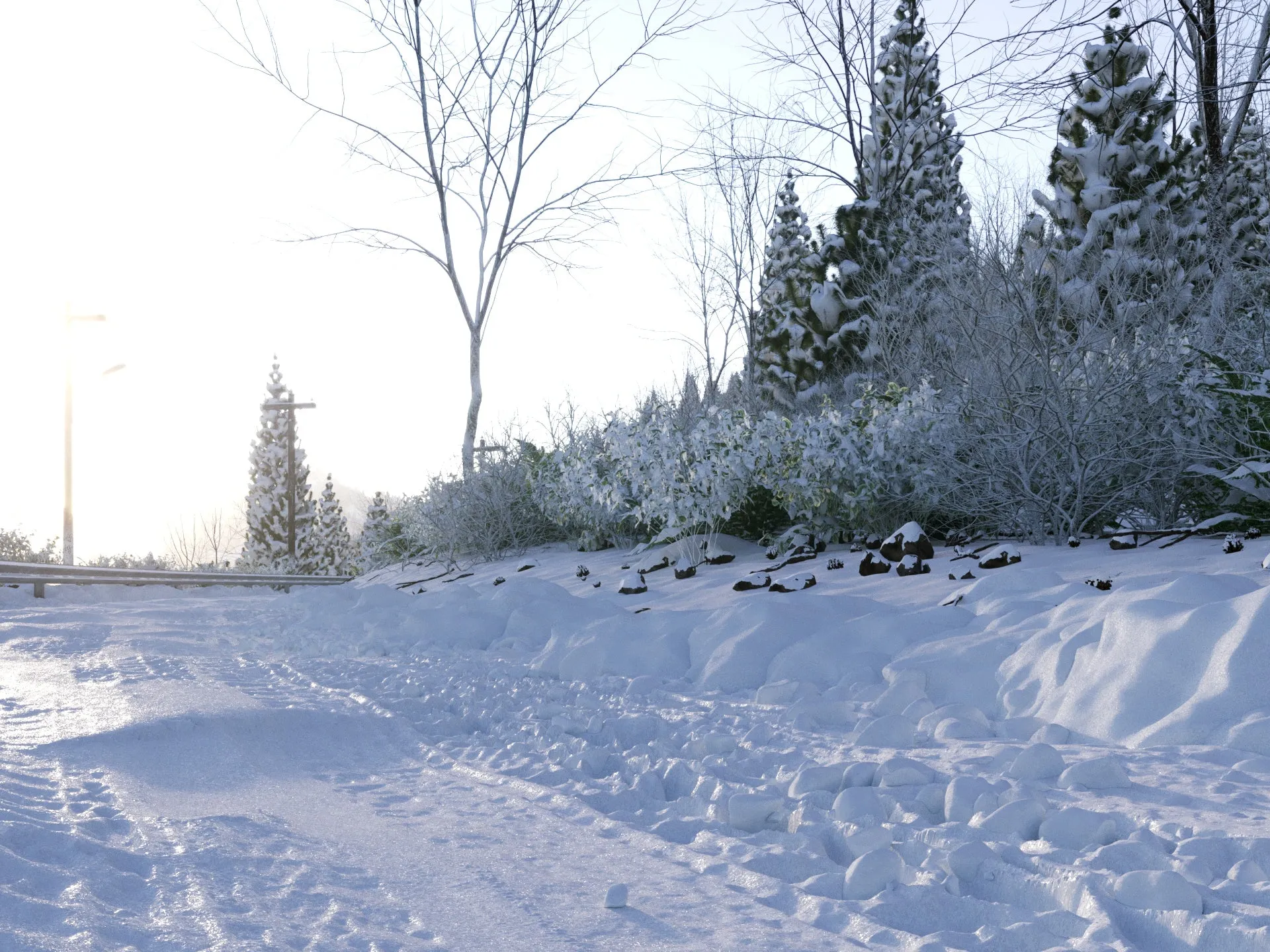 Svaeren Winter Pack